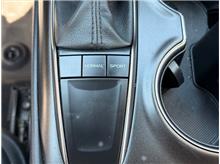 Vehicle Thumb #22