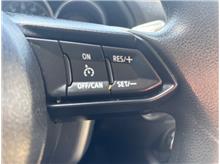 Vehicle Thumb #18