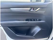 Vehicle Thumb #19