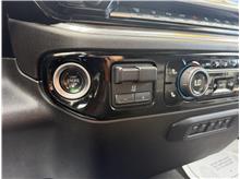 Vehicle Thumb #20
