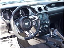 Vehicle Thumb #13