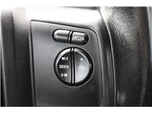 Vehicle Thumb #19