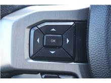 Vehicle Thumb #15