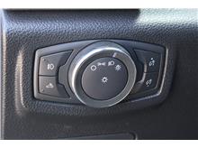 Vehicle Thumb #23