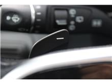 Vehicle Thumb #21