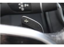 Vehicle Thumb #22