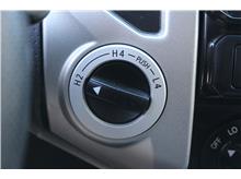 Vehicle Thumb #24