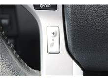 Vehicle Thumb #19