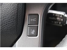 Vehicle Thumb #21