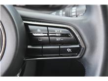 Vehicle Thumb #17