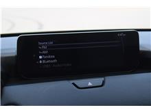 Vehicle Thumb #24