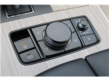 Vehicle Thumb #29