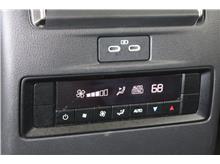 Vehicle Thumb #33