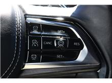 Vehicle Thumb #21