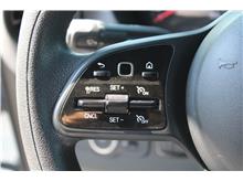 Vehicle Thumb #19