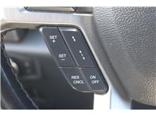 Vehicle Thumb #19