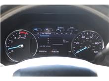 Vehicle Thumb #22