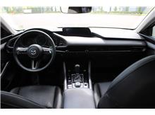 Vehicle Thumb #10