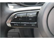 Vehicle Thumb #17