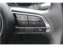 Vehicle Thumb #18