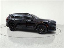Vehicle Thumb #10