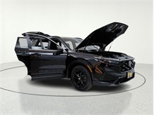 Vehicle Thumb #11