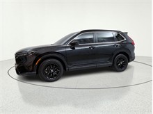 Vehicle Thumb #4