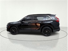 Vehicle Thumb #5