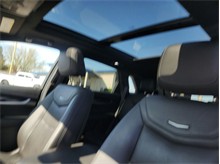 Vehicle Thumb #11