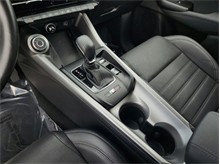 Vehicle Thumb #16
