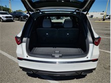 Vehicle Thumb #15