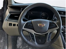 Vehicle Thumb #20