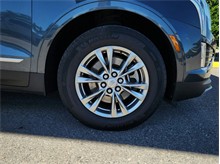 Vehicle Thumb #9