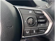 Vehicle Thumb #17