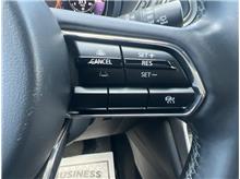 Vehicle Thumb #16