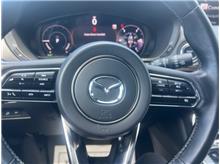 Vehicle Thumb #17