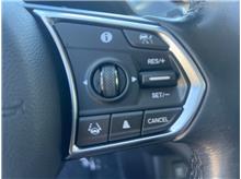 Vehicle Thumb #19