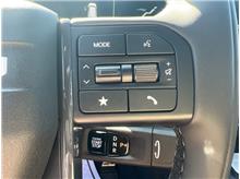 Vehicle Thumb #16