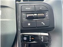 Vehicle Thumb #16