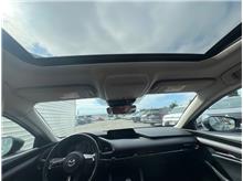 Vehicle Thumb #10