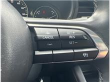 Vehicle Thumb #14