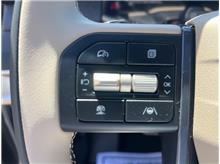 Vehicle Thumb #19