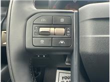 Vehicle Thumb #19