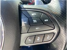 Vehicle Thumb #19