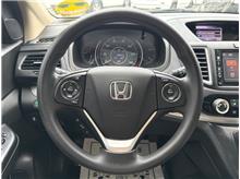 Vehicle Thumb #19