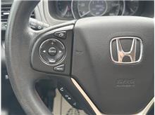 Vehicle Thumb #20