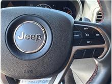 Vehicle Thumb #30