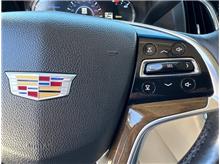 Vehicle Thumb #32