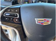 Vehicle Thumb #33