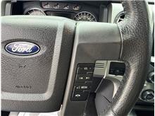 Vehicle Thumb #30